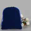 Blue Velvet Bag