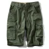 Olive Solid Color