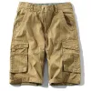 Khaki Solid Color