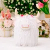 Scottish Highland Cattle White