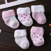 Pink Group (5 Pairs)