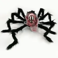 Painted Skeleton Spider