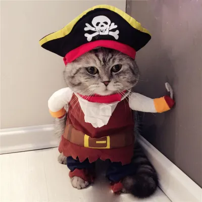 Funny Creative Pet Cartoon Pirate Set