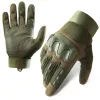 Z191 Olive