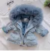 Blue Fur Collar