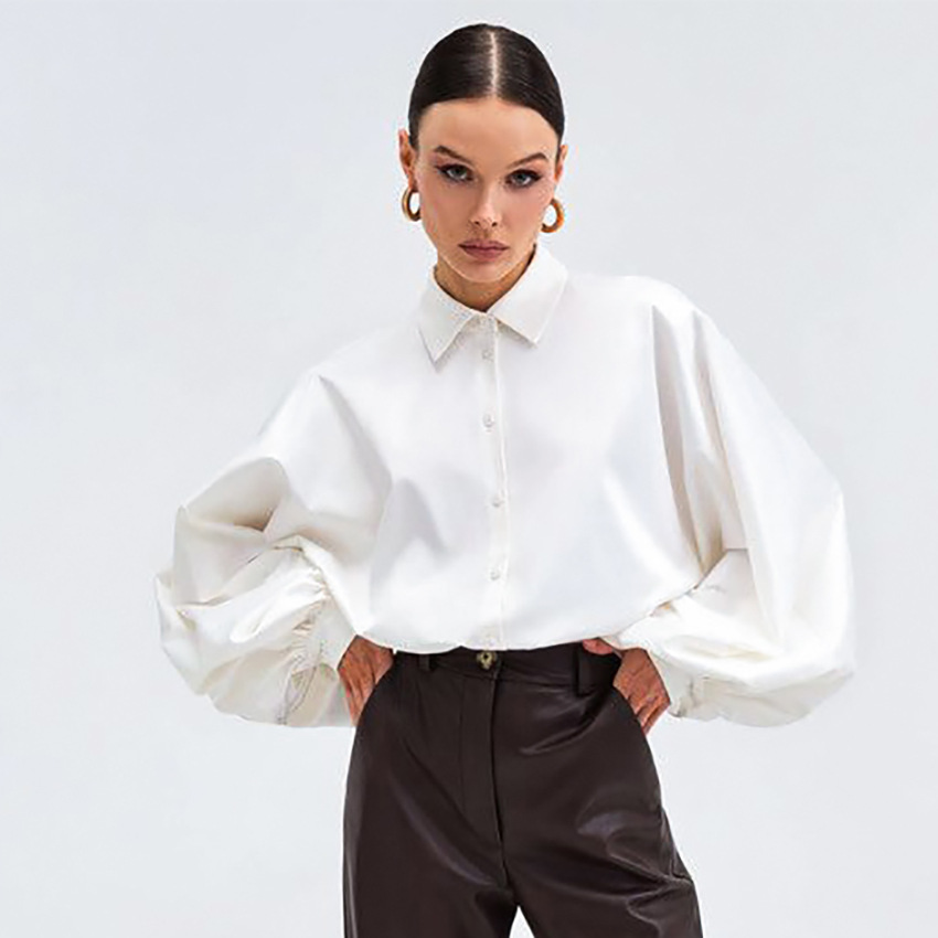 Allegra K Women's Peplum Tops Long Lantern Sleeve Elegant