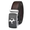 Silver Buckle Brown Belt
