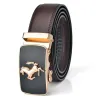 Brown Belt With Gold Buckle