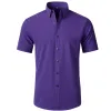 D3110 Deep Purple Short Sleeve