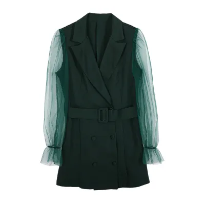 Women Fashion Sexy Perspective Mesh Long Sleeve Dress Double-Breasted Tight Waist A-Line Skirt