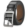 Pin Buckle Silver Buckle Black Belt
