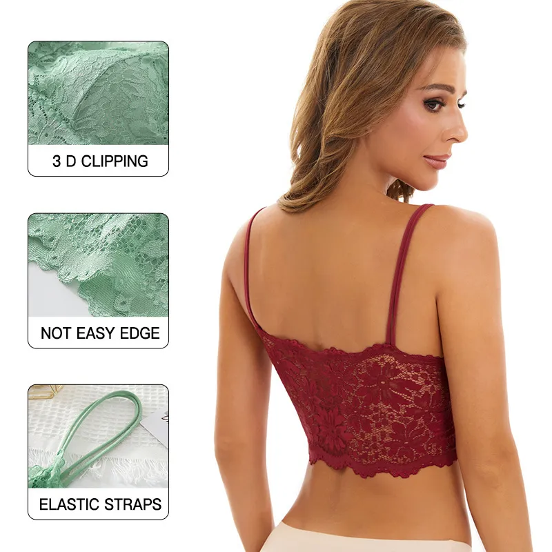 Wholesale Sexy Anty Bra Cotton, Lace, Seamless, Shaping 