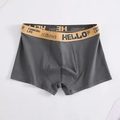 Men Fashion Casual Simple Letter Print Cotton Mid Waist Boxer Underwear
