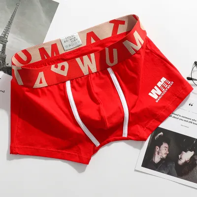 Men Fashion Casual Letter Cotton Mid Waist Boxer Underwear