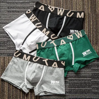 Wholesale Men Summer Casual Simple Letter Print Ice Silk Low-Waist Briefs Underwear