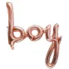 Conjoined Rose Gold Boy