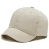Light Panel Beige