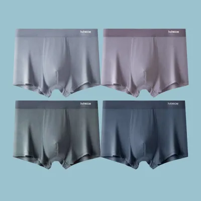 Men Basic Graphene Modal Plus Size Mid Waist Boxers