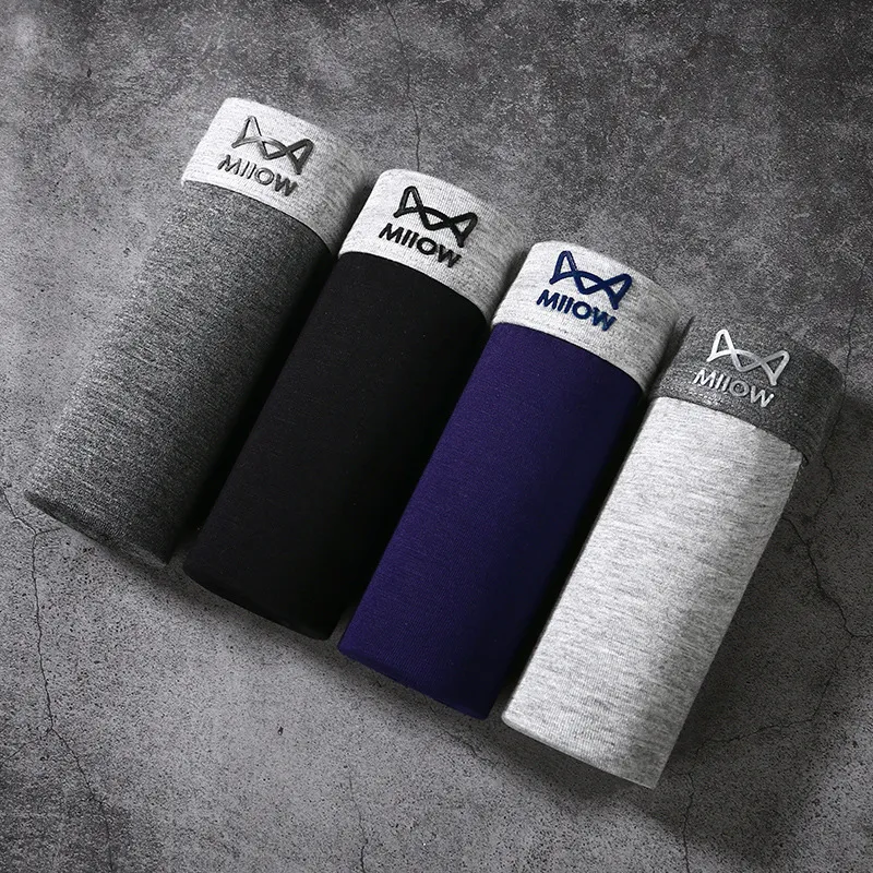 Men Basic Graphene Modal Plus Size Mid Waist Boxers