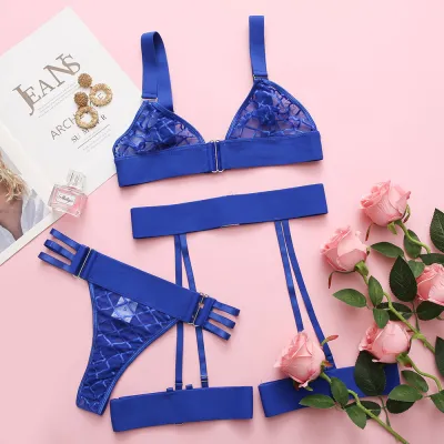 Women Fashion Sexy Ribbon Waist Seal Mesh See-Through Nexy Sleeve Bra Set