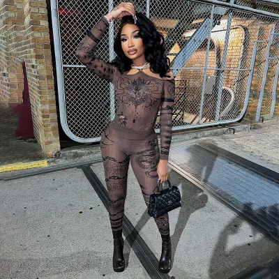 Women Fashion Sexy Mesh Printed Long Sleeve Bodysuit Tight Pants Two-Piece Set