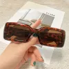 Hawksbill Framed Tea