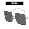Silver Frame Lt.Grey