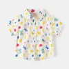 Color Letter White