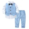 DTZ9482B Blue