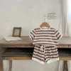 Color Stripe
