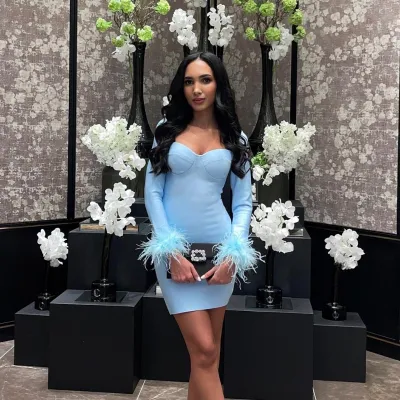 Women's Feather Mini Dress Long Sleeve V-Neck Street Hipster