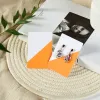 Dopamine Contrast Color Set Card No. 9 [6*9Cm]]
