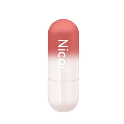 Nicor Avocado Lip Balm Hydrating Moisturizing Lipstick for Dry Lips