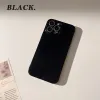 Obsidian Black