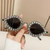 Silver Frame White Diamond Black Ash Chip
