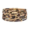 Leopard 5