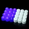 Round White Shell Blue Light (24 A Box Of 24 Multiples)