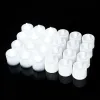 Round White Shell White Light (24 A Box Of 24 Multiples)