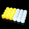 Round White Shell Warm Light (24 A Box Of 24 Multiples)