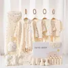 2301 Yellow 24 Set [Four Seasons]]