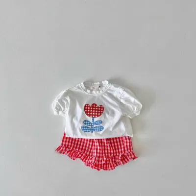 Kids Toddler Girls Cute Floral Print Short Sleeve Round Neck T-Shirt and Plaid Shorts Set Casual Summer Outfit