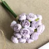 Purple 1