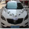 Q11 White Decoration
