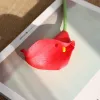 Huang Rui Red