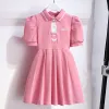 Pink Pleated Skirt