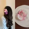 Gradient Pink