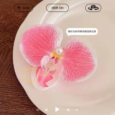 Phalaenopsis Hairpin Flower Summer Vacation Seaside Hair Accessories Duckbill Clip