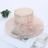 Natural Meat Powder
