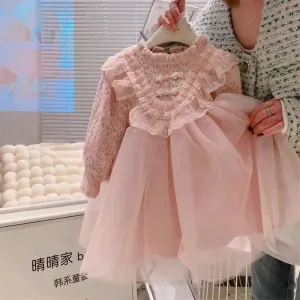 Kids Toddler Girls Casual Cute Lace Hollow Long Sleeve Mesh Princess Dress
