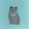 Kitty